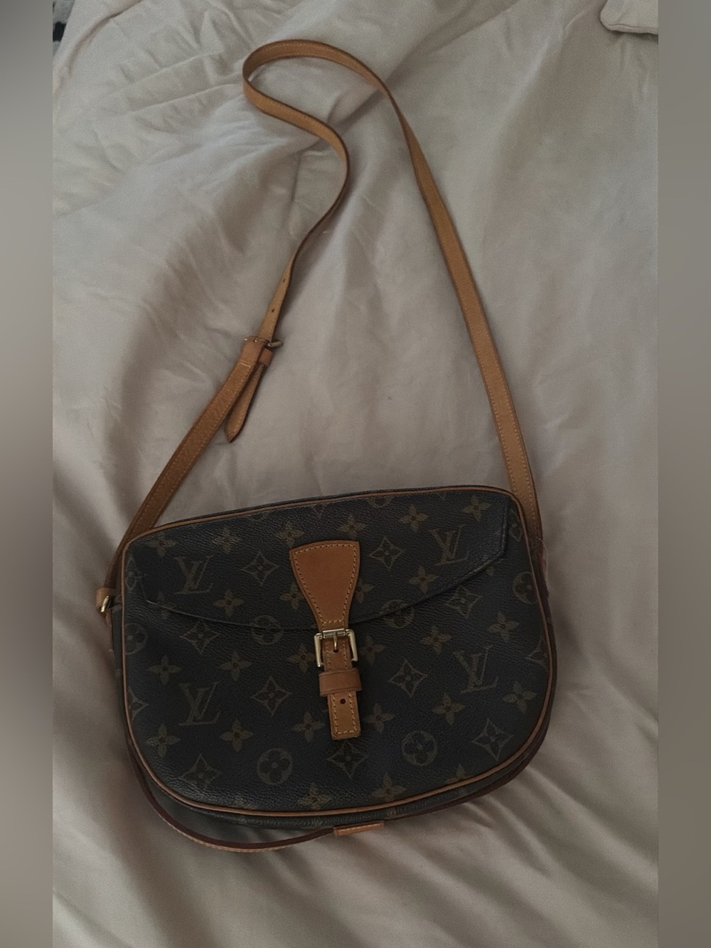 Louis Vuitton monogram bag